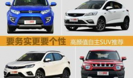 精品国产自,探索我国自主创新的辉煌成就