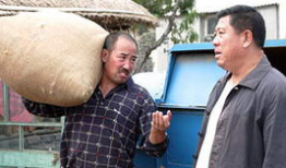 电视剧金色农家,田园牧歌中的奋斗传奇