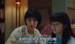 日本伦理电视剧,日本电视剧中的道德冲突与人性探索