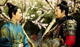 精忠岳飞电视剧,民族英雄的忠诚与抗争