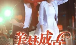 美梦成真电视剧,现实与梦想的交织之旅
