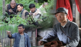 暴风骤雨电视剧全集,风雨飘摇中的英雄传奇