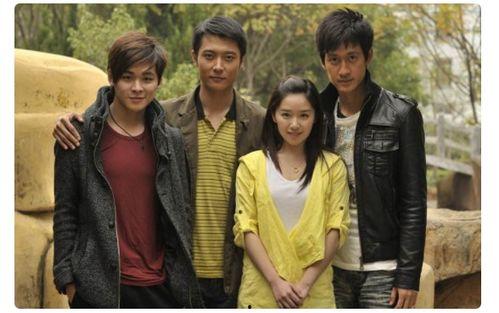 电视剧 爱,情感交织的人生旅程